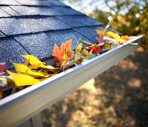 leaves in gutter